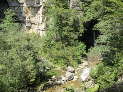 Salendo lungo il sentiero in bosco, da una piazzola possiamo ammirare la confluenza tra Vinadia e Picchions, compresa la meravigliosa cascata di quest'ultimo.