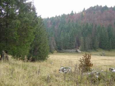 La radura poco lontana dalla Candaglia, dove il percorso si perde in bosco.