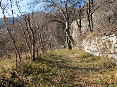 Dopo aver sfiorato la base del secondo tornante, il sentiero Zanin conduce dal prato al bosco.