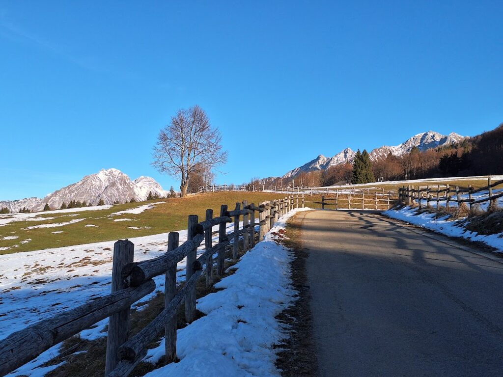 Fresca mattinata a Col Indes in Alpago