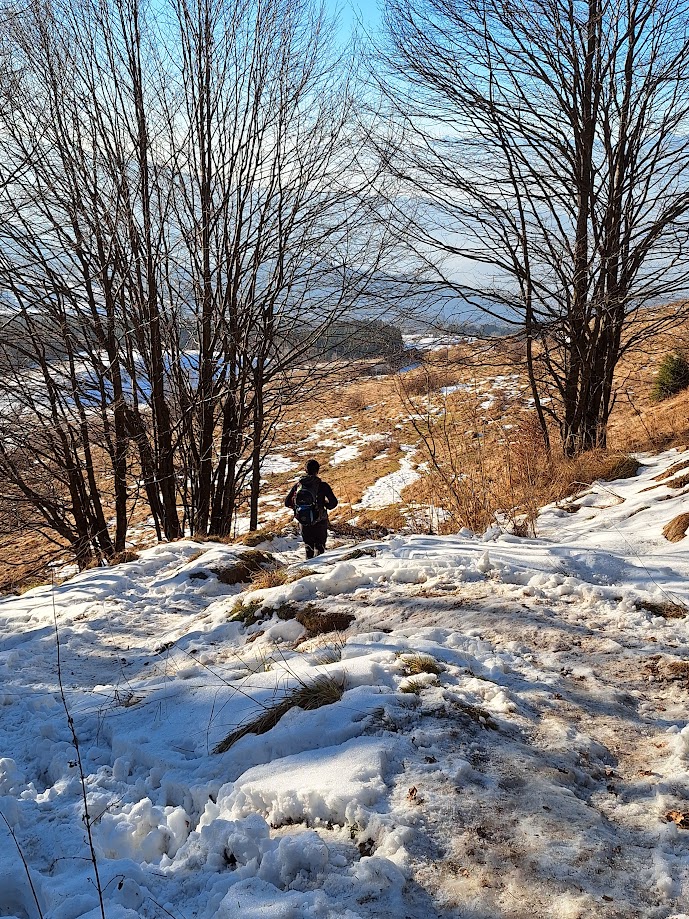 Fuori dal bosco, al rientro, oramai ci manca poco per raggiungere la strada.