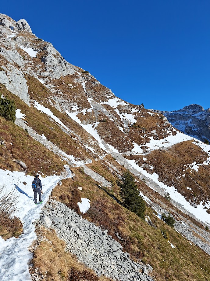 La parte alta del percorso, aspettando di vedere il Rifugio Semenza in lontananza.