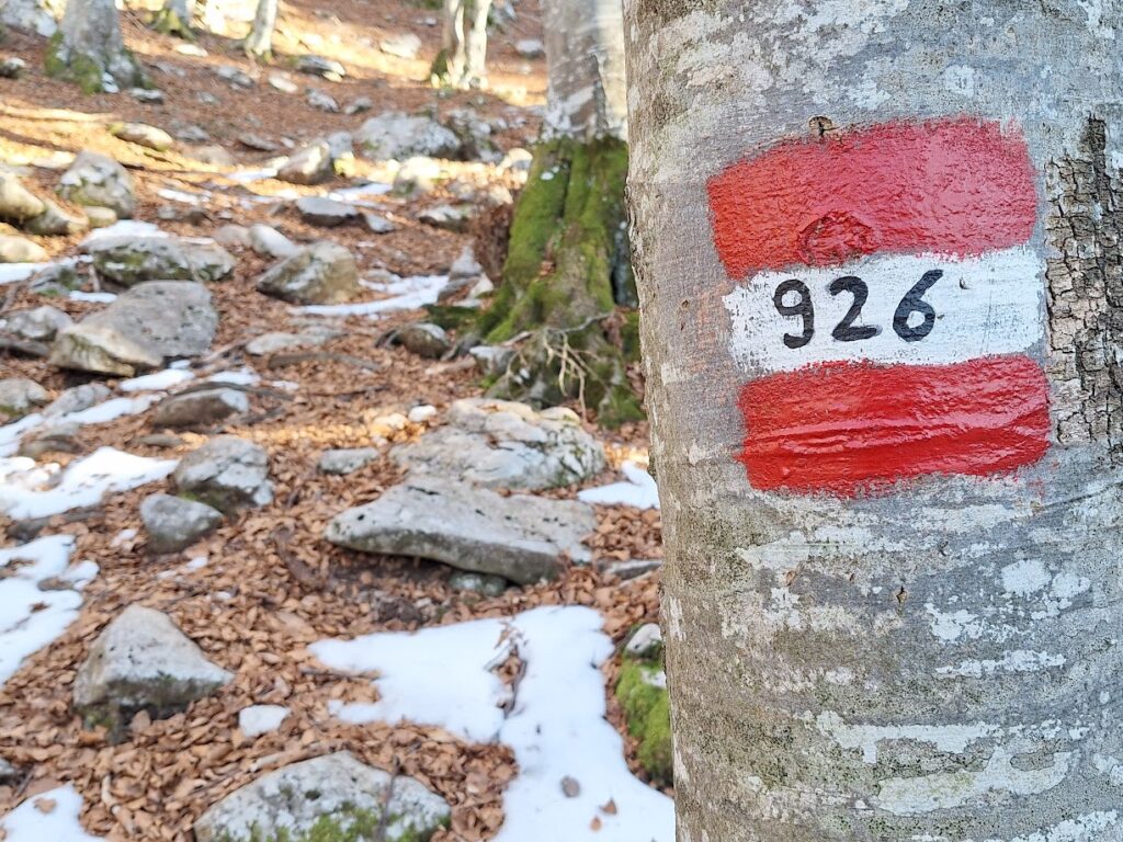 Il segnavia 926 che ci porterà  sotto Cima delle Vacche, fino al Rifiugio Semenza.