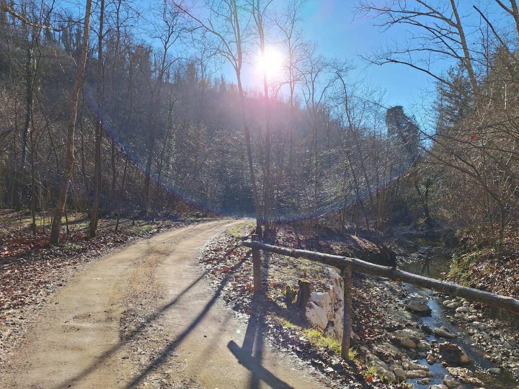 Dopo le prime zone fredde, mi ritrovo ad andar a caccia di qualche raggio di sole.