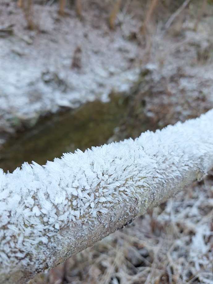 Qui la brina si fa seria. Questo è un palo di legno che sta di fianco alla strada lungo il torrente.