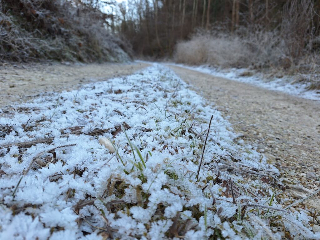 Brina sulla strada