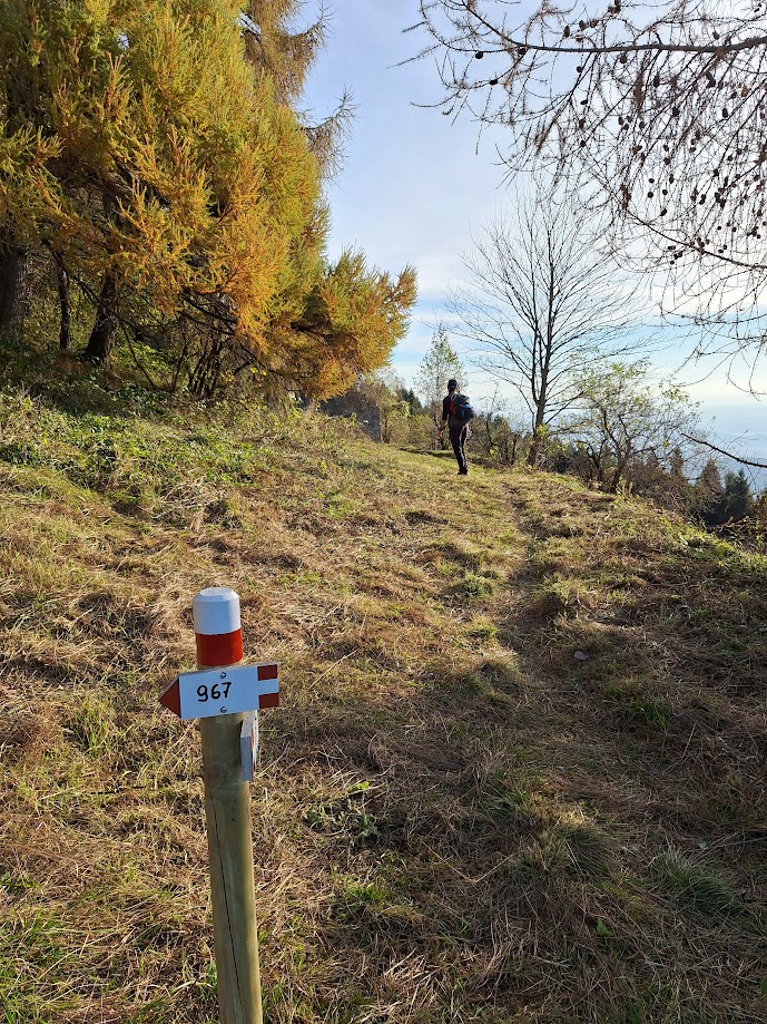 Proseguiamo in zona boscosa e poi di prato.