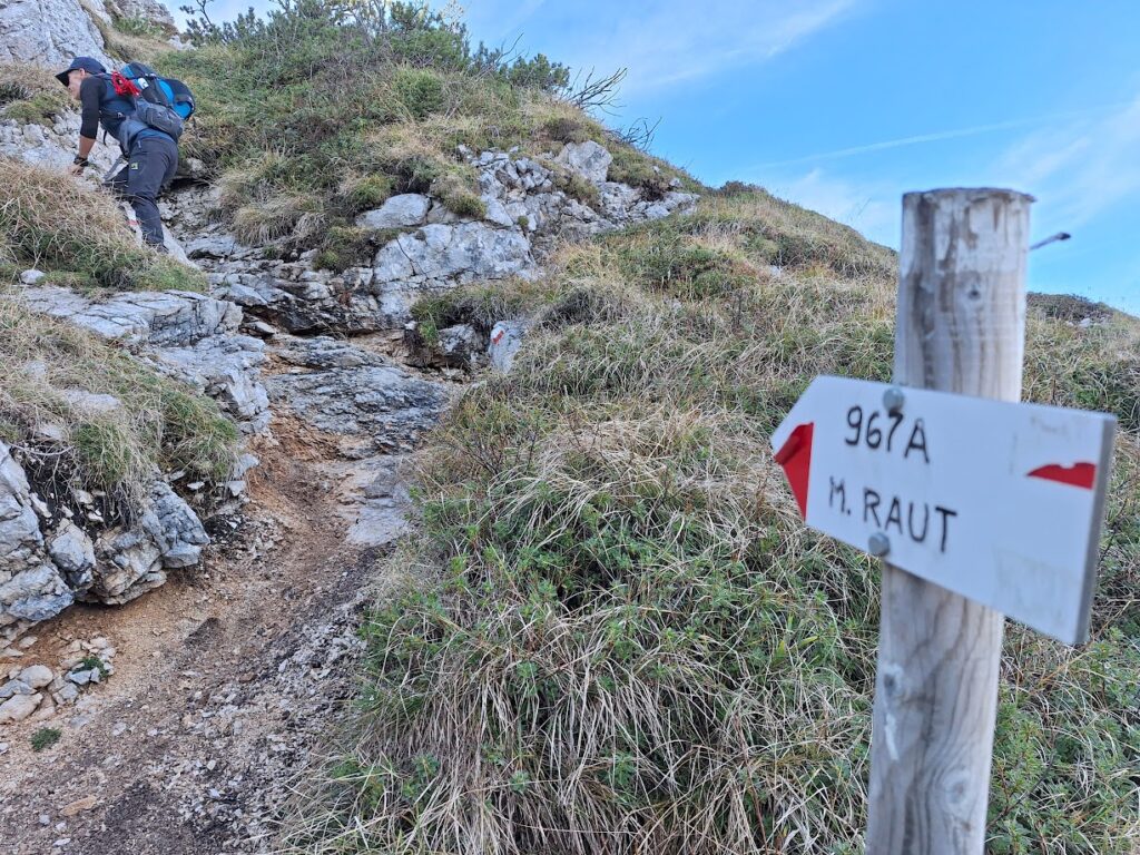 Da Forcella Capra, si parte lungo la cresta, in direzione della Cima del Monte Raut.