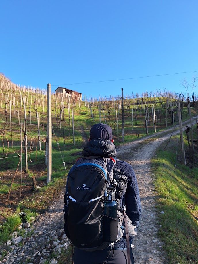 Giretto iniziale su una collina di vigneti, casere, boschi a margine e piccole pareti di conglomerato.