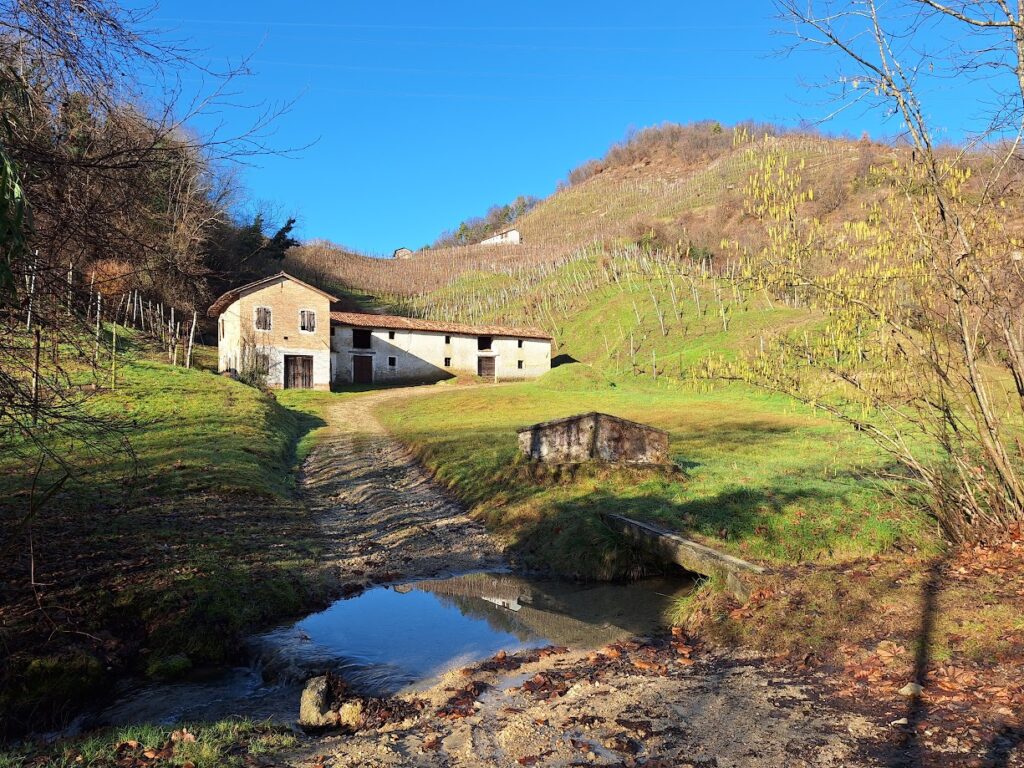 Una splendida casa non più abitata. Quanto ci piacerebbe ridarle vita come merita!