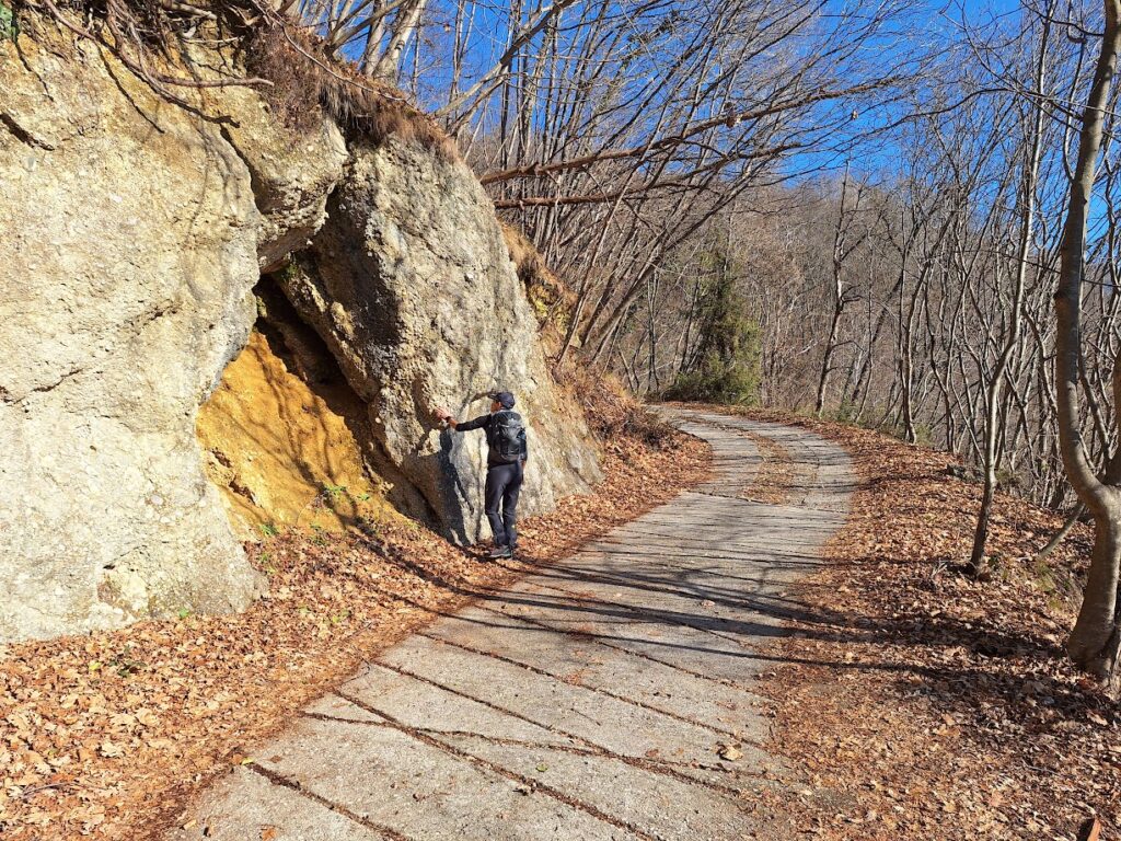 Oggi ci si muove tra strade sterrate, cementate, asfaltate e sentieri più o meno di bosco. Le pareti di conglomerato ci fanno sempre grande compagnia, peccato non siano roccia più solida...