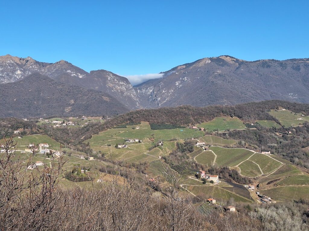 Dalla cresta, di tanto in tanto gli alberi si fanno più radi e si riesce ad ammirare verso Nord il passo di Praderadego e di San Boldo, compreso Rolle sotto di noi.